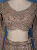 Champagne Beige Sequins Embroidered Mermaid Net Lehenga With Dupatta