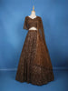Coffee Brown Sequins And Beads Embellished Net Lehenga With Net Dupatta - Diadem