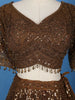 Coffee Brown Sequins And Beads Embellished Net Lehenga With Net Dupatta - Diadem