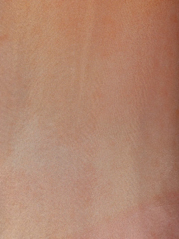 Coral Floral Designed Tissue Silk Salwar Suit - Diadem