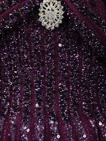 Deep Plum Purple Sequins And Beads Embellished Net Gown - Diadem