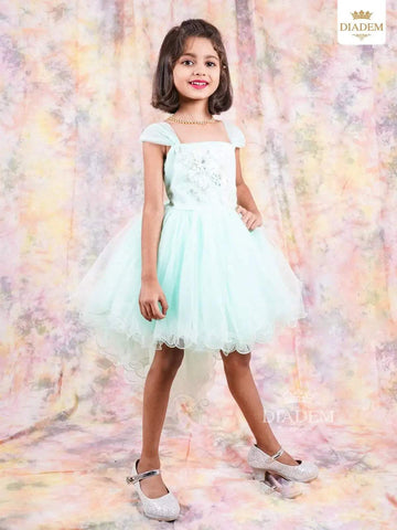 Light Blue Frock Enhanced in Floral Design Laces - Diadem