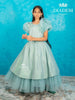 Sea Green Shimmer Net Ruffle Sleeve Gown with Bow Attached - Diadem