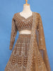 Golden Brown Heavy Embroidered Design Net Lehenga - Diadem