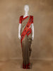 Light Brown Solid Design Tussar Silk Saree With Red Contrast Border - Diadem