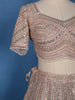 Light Pink Sequins Embroidery Net Lehenga