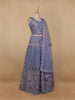 Light Blue Mirror Embroidered Net Lehenga Set - Diadem