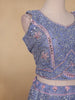 Light Blue Mirror Embroidered Net Lehenga Set - Diadem