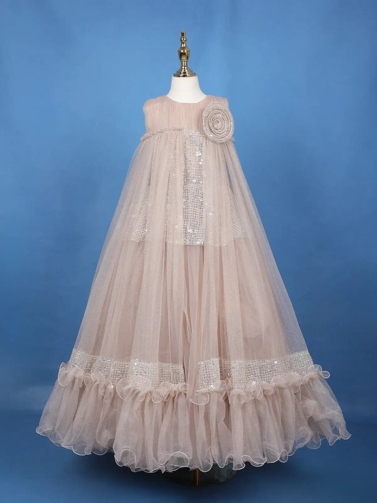 Beige Floral Design Sequins Work Net Gown - Diadem