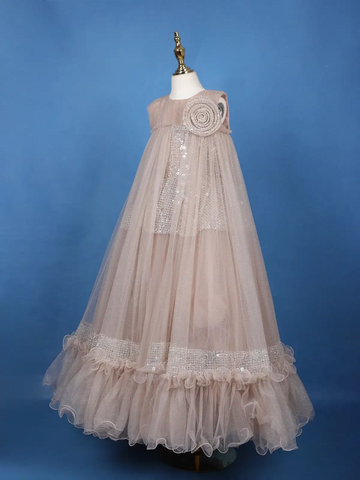 Beige Floral Design Sequins Work Net Gown - Diadem