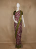 Maroon Kalamkari Printed Cotton Saree with Contrast Olive Green Border