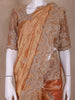 Orange Floral and Paisley Designed Tissue Organza Saree - Diadem