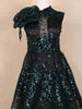 Black Net A-Line Gown with 3D Flowers and Sequins - Diadem