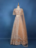 Peach Floral Sequins Embroidered Net Lehenga Set With Dupatta - Diadem