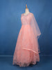 Peach Pink Floral Embroidered Design Net Gown