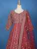 Pink Floral Designed Anarkali Georgette Gown - Diadem
