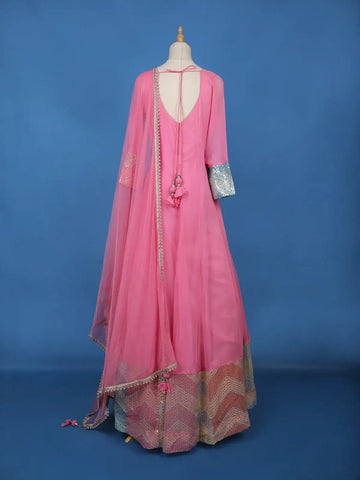 Pink Panel Designed Anarkali Georgette Gown - Diadem