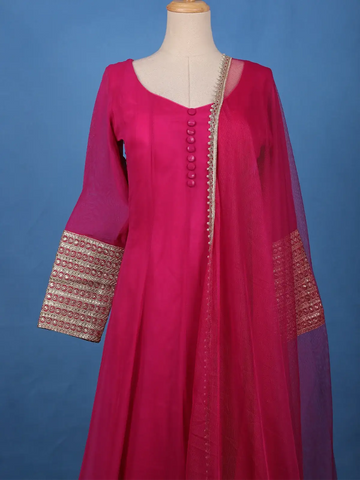 Pink panel Designed Anarkali Georgette Gown - Diadem