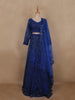 Royal Blue Sequins Embroidered Design Net Lehenga with Dupatta