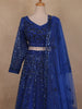 Royal Blue Sequins Embroidered Design Net Lehenga with Dupatta