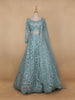 Sky Blue Floral Embroidered Net Lehenga for Brides - Diadem