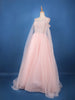 Light Pink Stone and Sequin Embellished Net Gown - Diadem