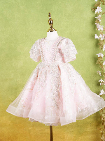 Pale Pink Net Gown Adorned With Floral Designs and Puff Sleeves - Diadem