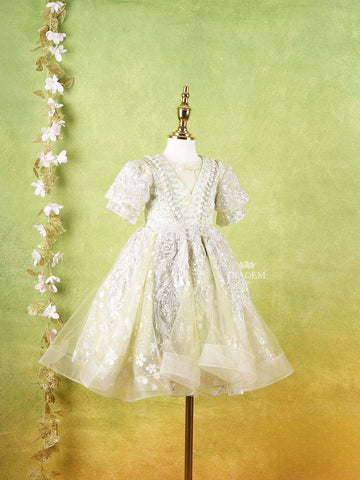 Pista Green Net Gown Adorned With Floral Designs and Puff Sleeves - Diadem