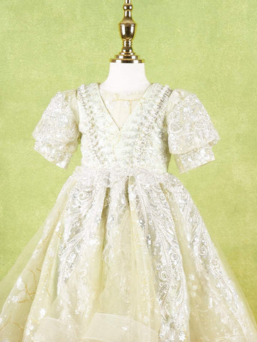 Pista Green Net Gown Adorned With Floral Designs and Puff Sleeves - Diadem
