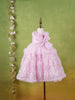 Pink Net Gown Adorned With Sequins, Big Bow and Butterflies - Diadem
