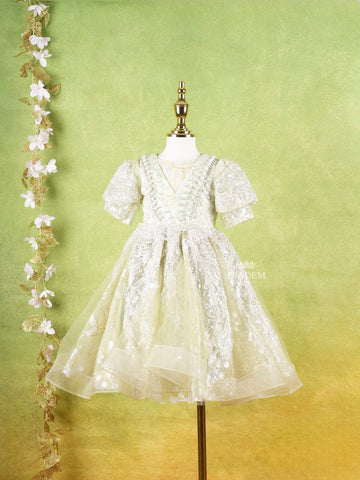 Pista Green Net Gown Adorned With Floral Designs and Puff Sleeves - Diadem