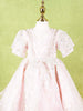 Pale Pink Net Gown Adorned With Floral Designs and Puff Sleeves - Diadem