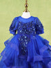 Royal Blue Net Layered Gown Adorned With 3D Flowers and Sequins - Diadem