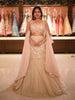 Champagne Beige Heavy Sequins Embroidered Net Mermaid Lehenga