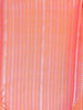Orange Pure Kanchipuram Bridal Silk Saree with Stripes Design on the Body with Zari Border - Diadem