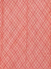 Peach Banarasi Saree with Checked Design on the Body and Contrast Border