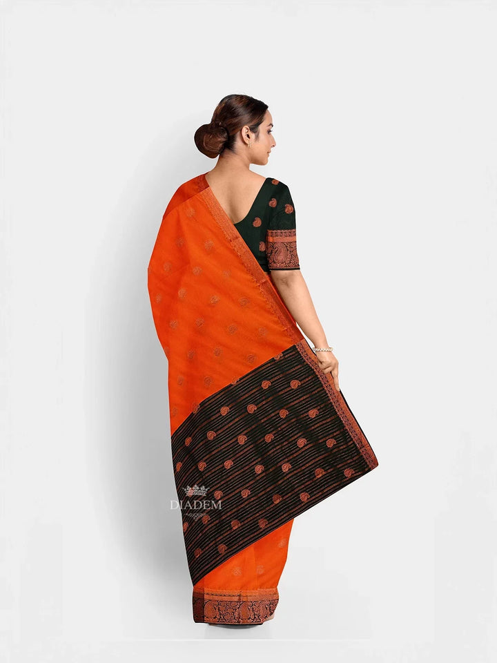 Saree_33533_3