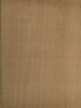 Olive Green Chanderi Silk Saree with Leaf Design on the Body with Contrast Border