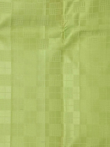 Light Green Pure Kanchipuram Bridal Silk Saree with Checked Design on the Body with Designed Border - Diadem
