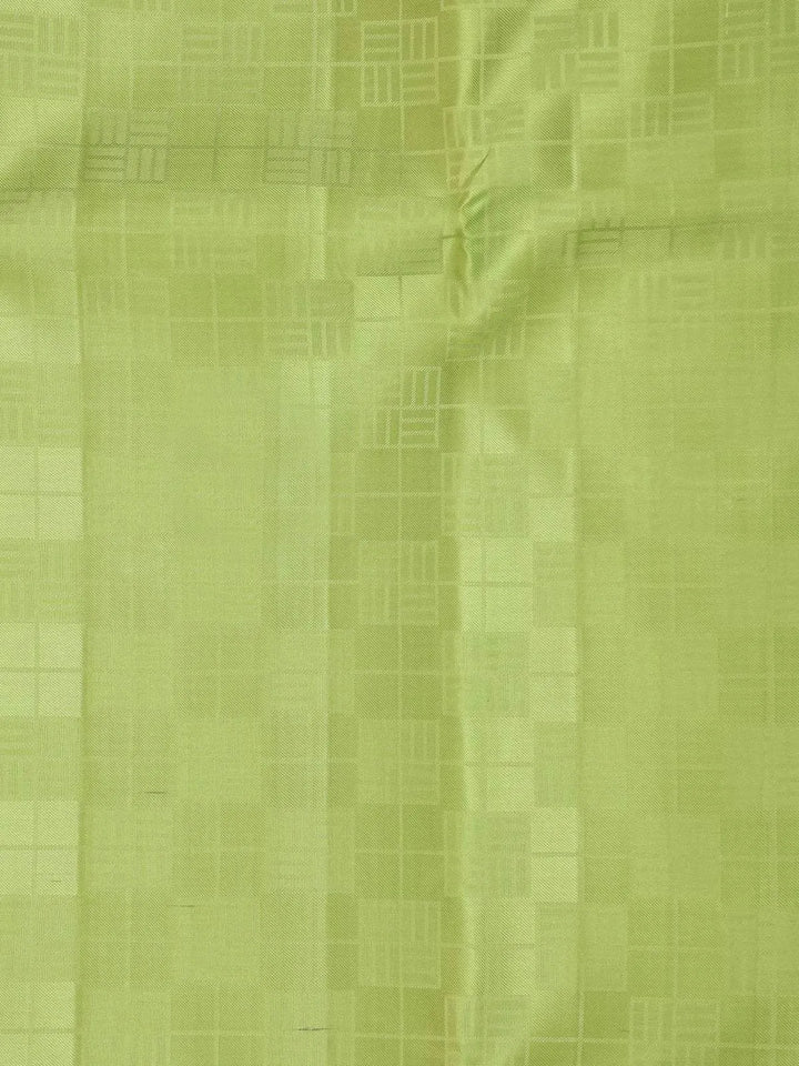 Light Green Pure Kanchipuram Bridal Silk Saree with Checked Design on the Body with Designed Border - Diadem