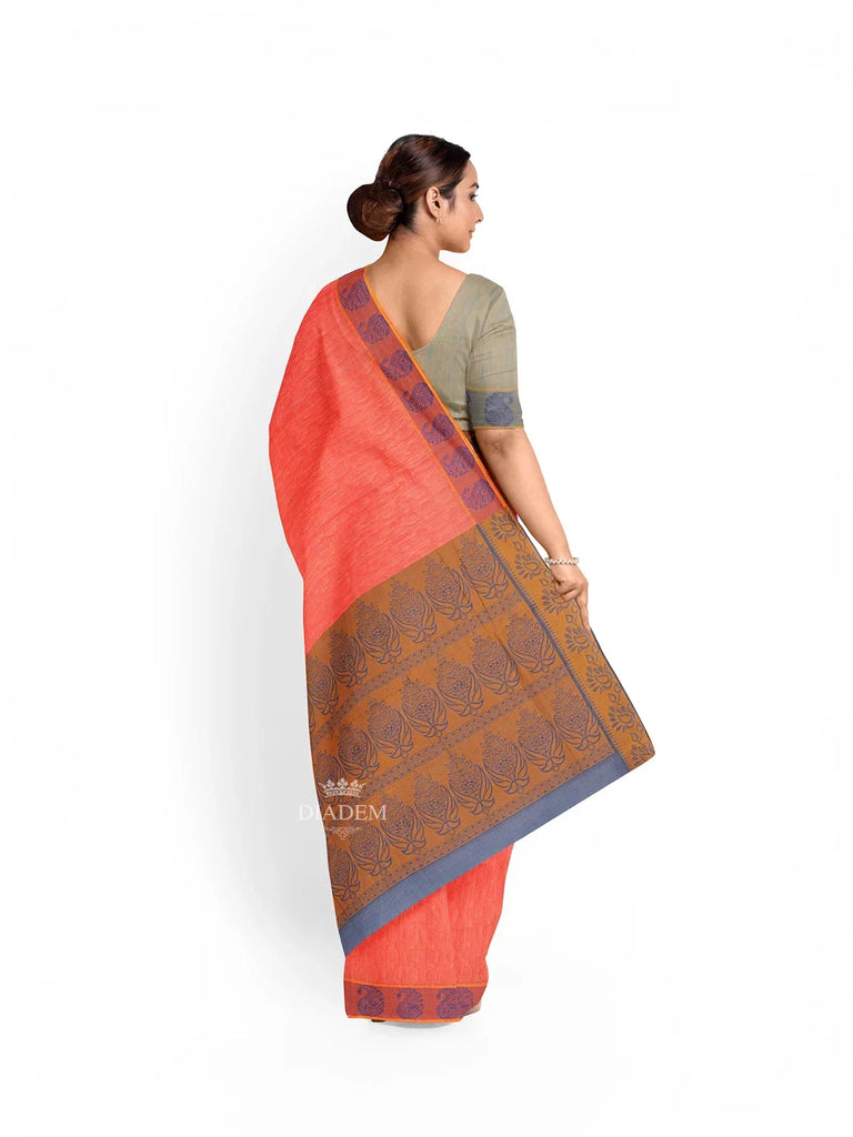 Saree_35427_3