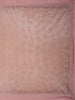 Pink Floral Designed Tissue Organza Saree