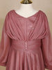 Rose Ebony Shimmer Full Sleeve Gown - Diadem