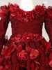 Dark Red Glitter Knit Ball Gown Embellished with 3D Flowers - Diadem