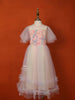 Light Peach Net Gown Adorned with Floral Threadwork - Diadem