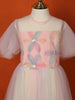 Light Peach Net Gown Adorned with Floral Threadwork - Diadem