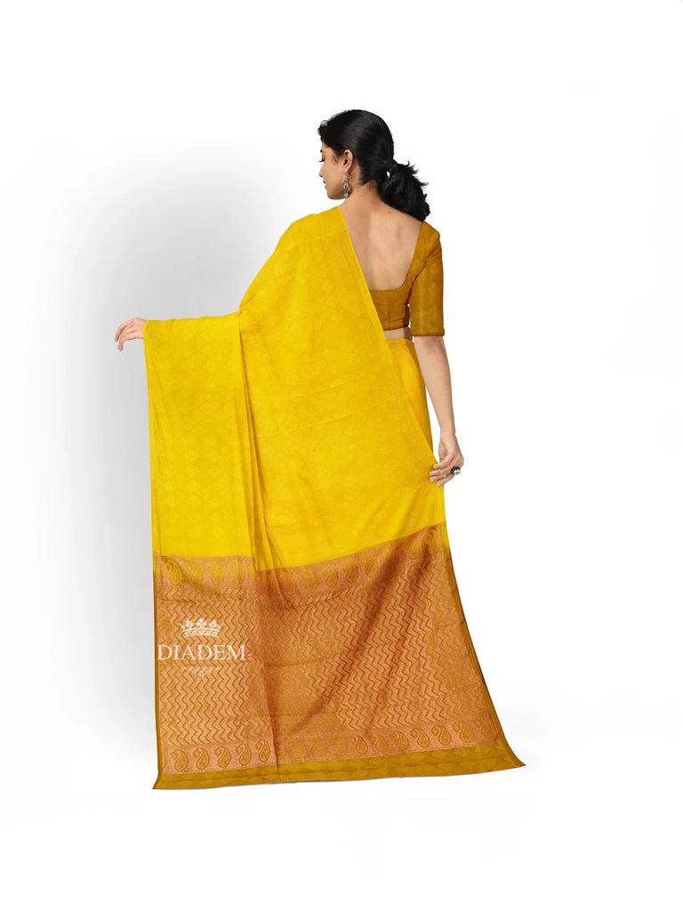 Saree_45164_3