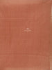 Light Brown Semi Tussar Silk Saree with Zari Butta on the Body and with Border - Diadem