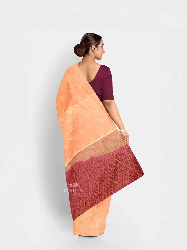 Saree_46384_3