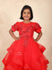 Red Net Gown Adorned with Floral Beads and 3D Flower Design without Dupatta - Diadem